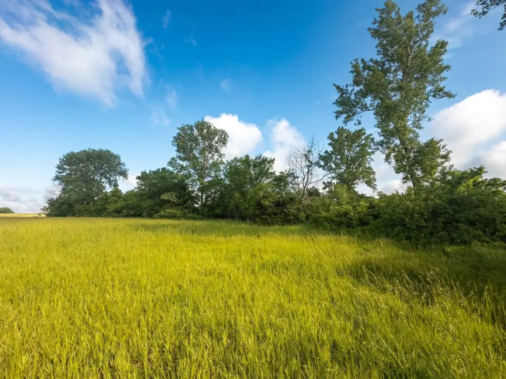 Picture 37