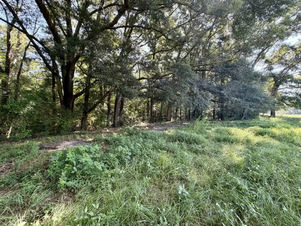 Picture 37