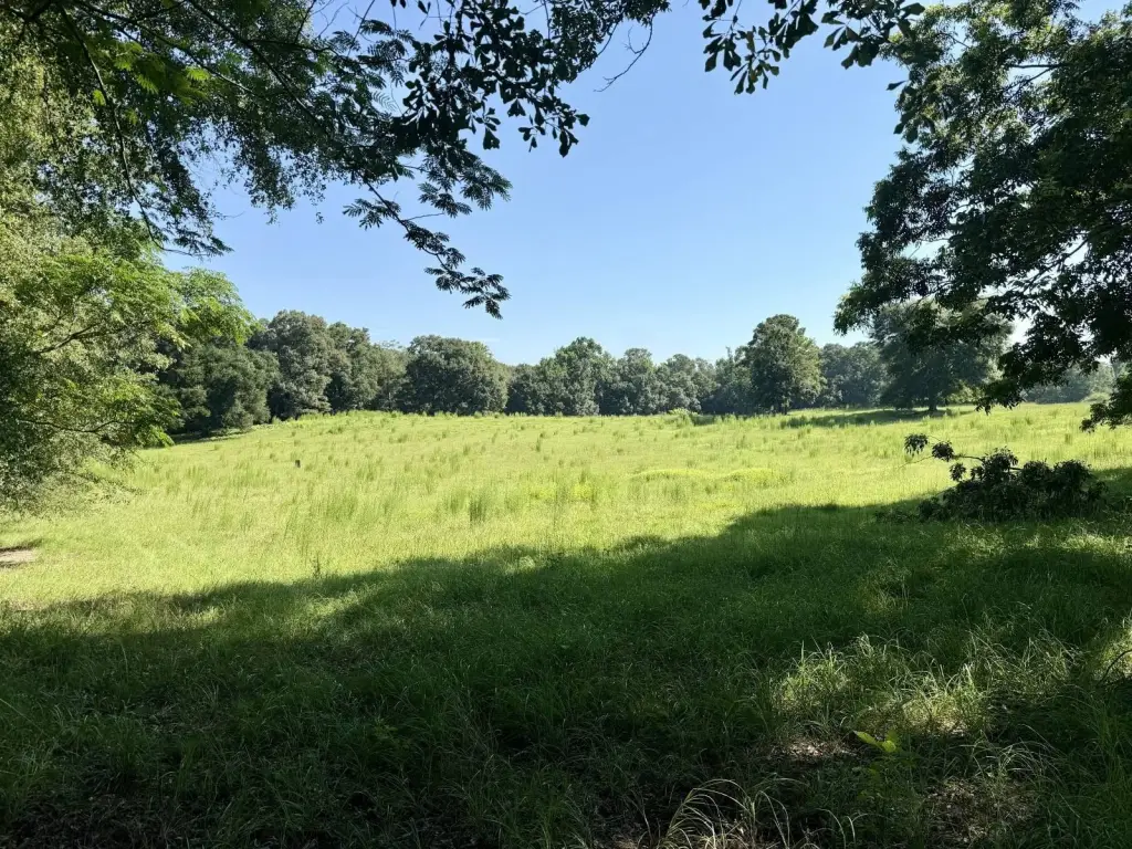 Picture 27