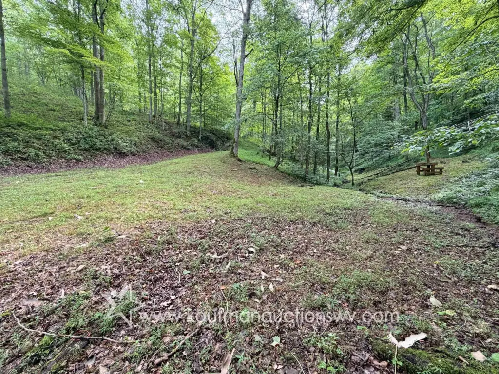 Picture 5