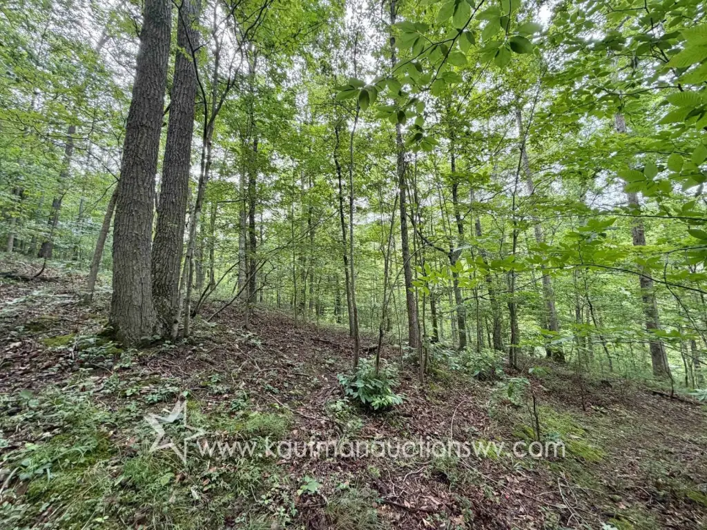 Picture 16