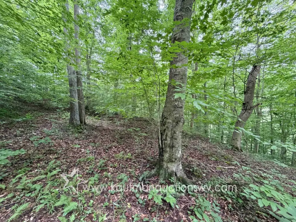 Picture 18