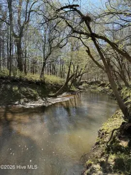 Wooded Creekfront Land