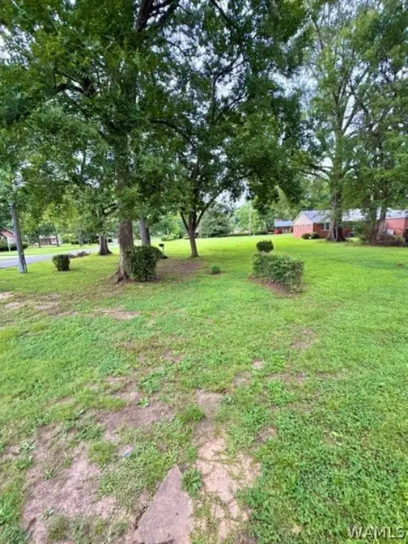 Picture 20