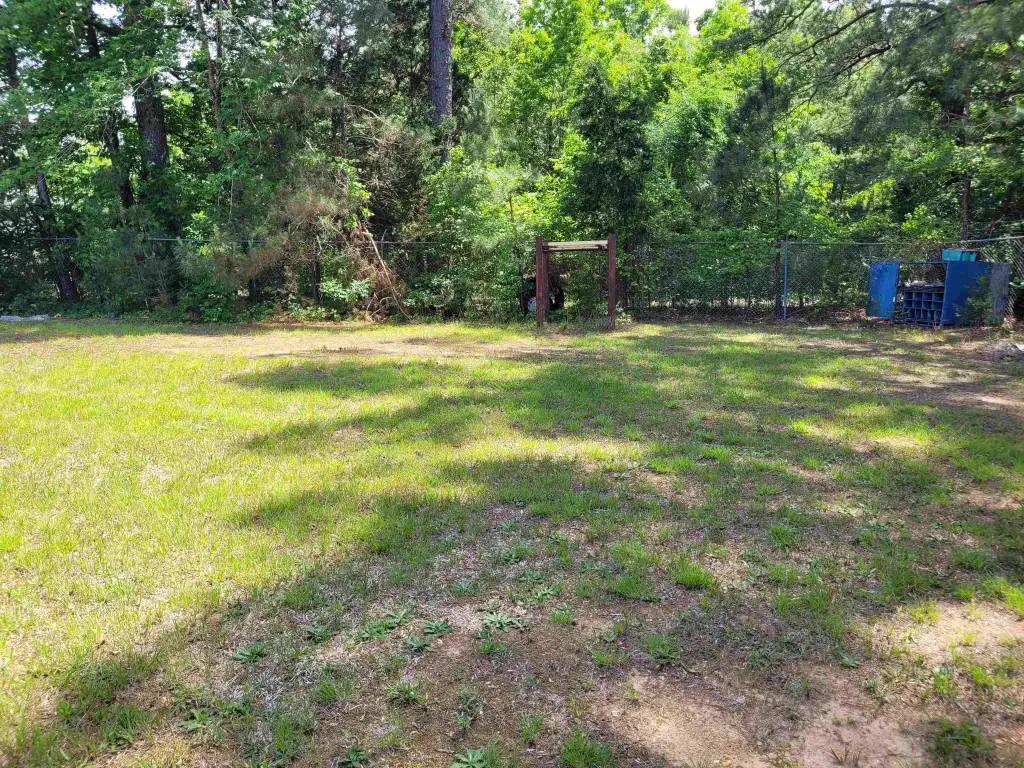 Picture 10