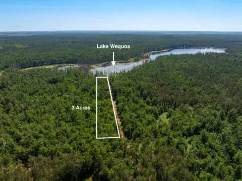 Wooded Land with Lake Frontage