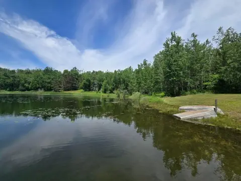 Waterfront Land in Elmira, Michigan