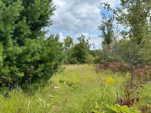 Wooded Land Near Cheboygan, MI