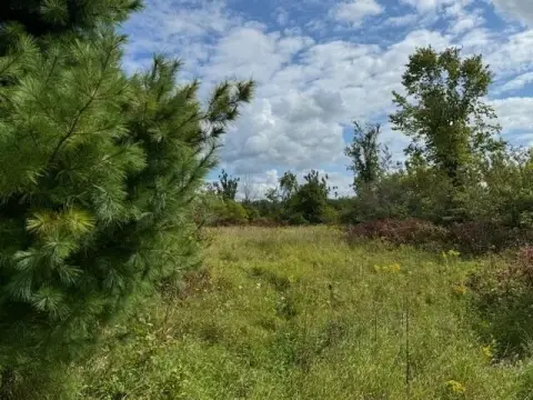 Wooded Land Near Cheboygan, MI