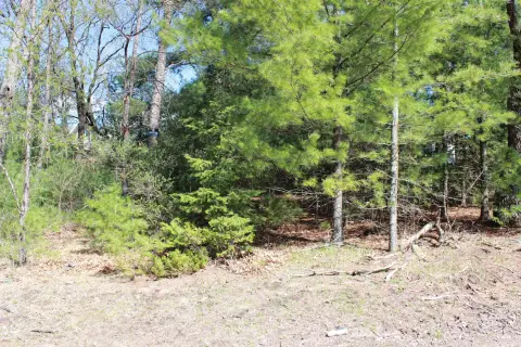 Wooded Lots Near Castle Rock Lake