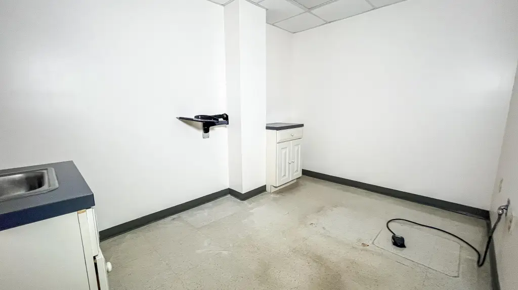 Picture 41