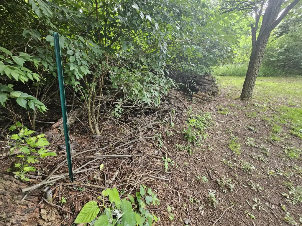 Picture 15