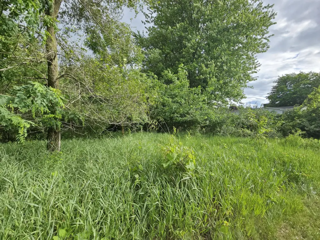 Picture 6
