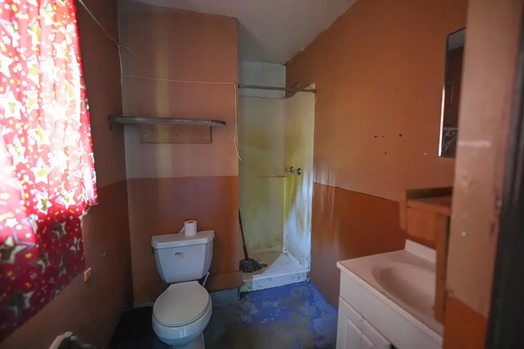 Picture 45
