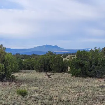 Land Parcel Near Quemado, NM