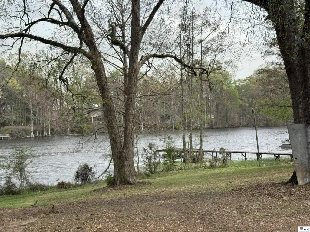 Picture 3