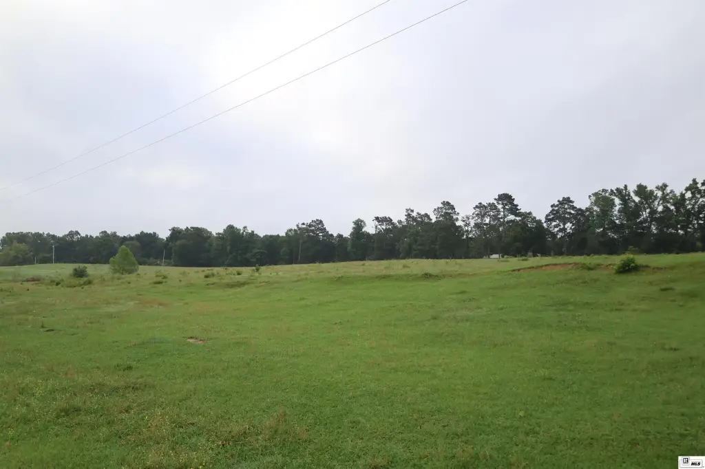Picture 24