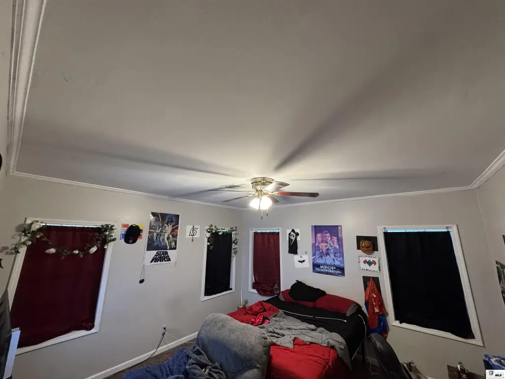Picture 13