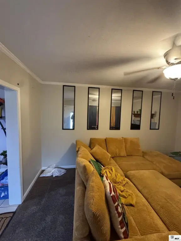 Picture 5