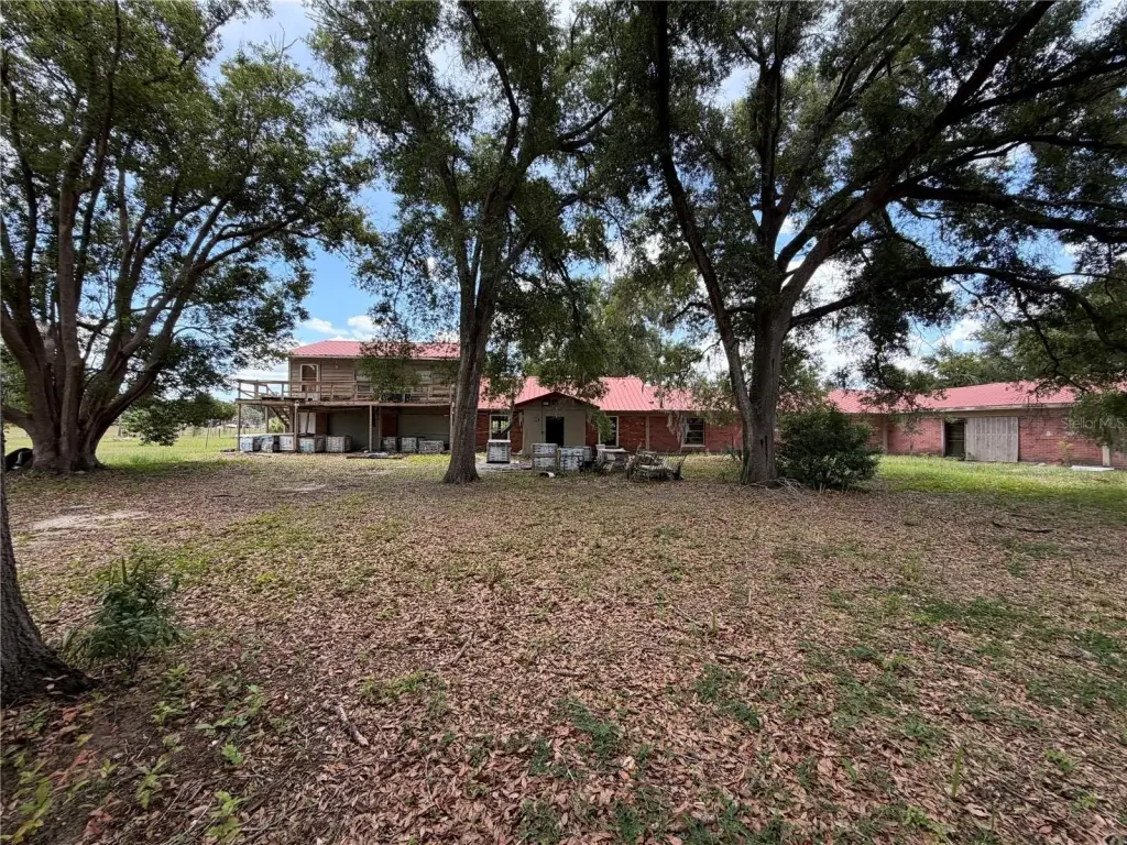 Picture 19
