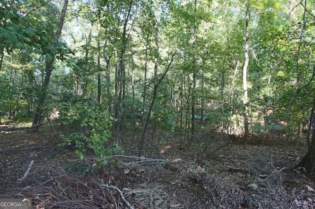 Picture 11