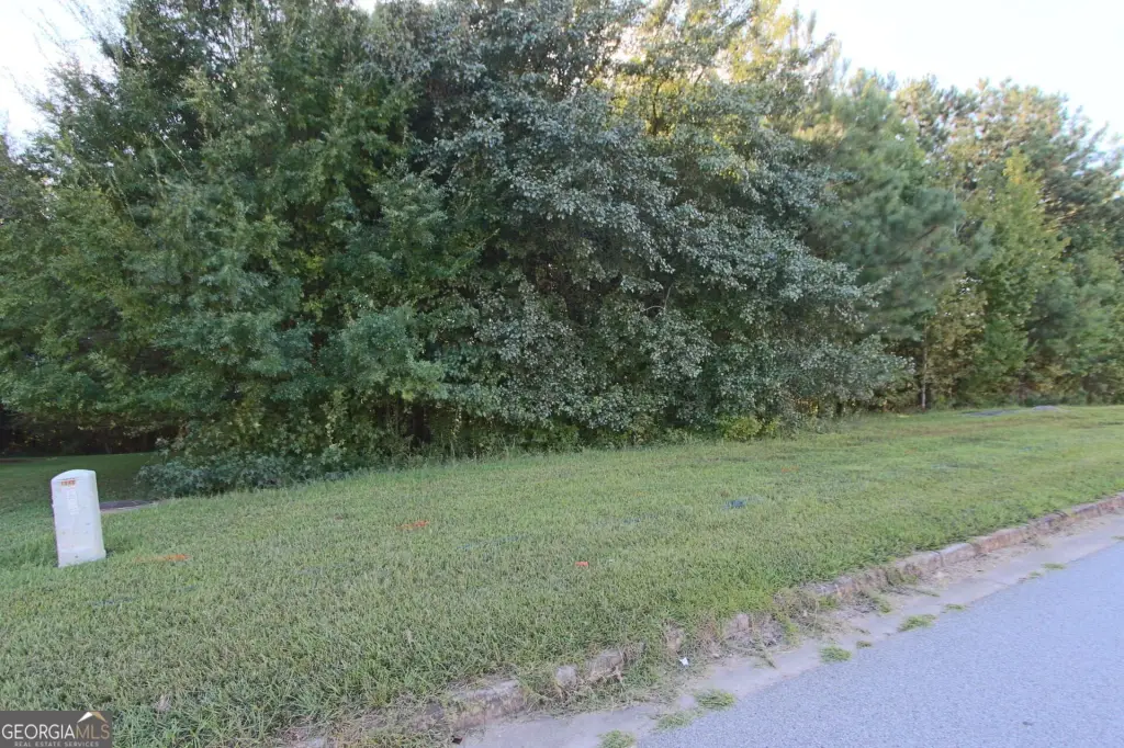 Picture 17