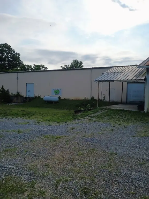 Picture 5