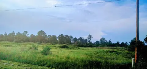 Lehigh Acres Canal-Front Land