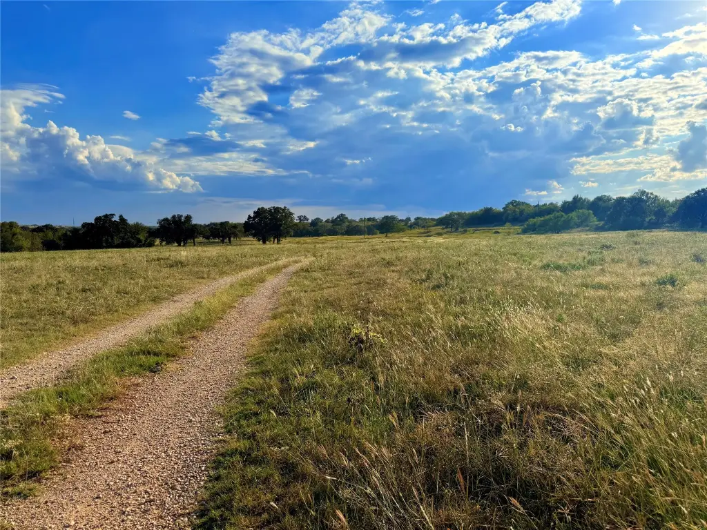 Picture 25