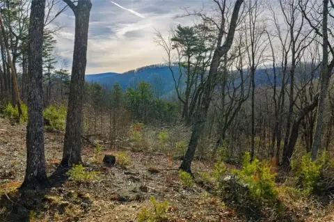 Land in Mountain Community