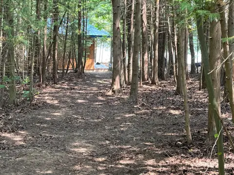 Waterfront Land with Cedar Woods