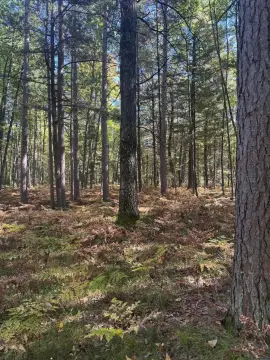 Residential Land in Prudenville, MI