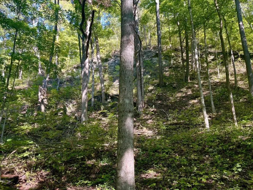 Picture 2