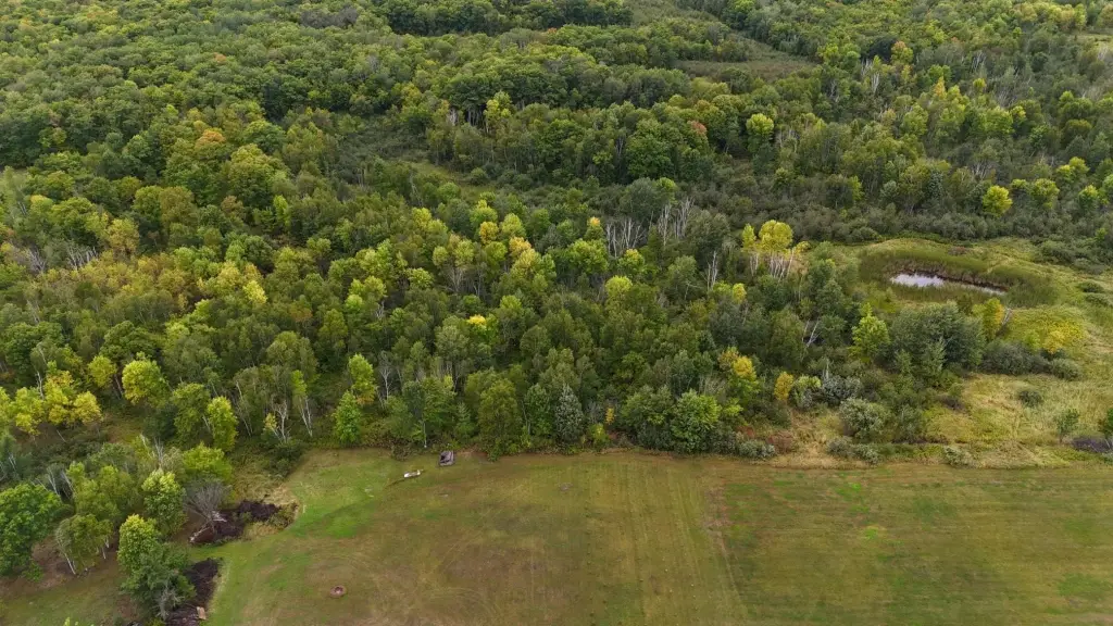 Picture 37