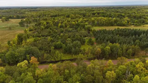 Wooded Land with Deer Stands