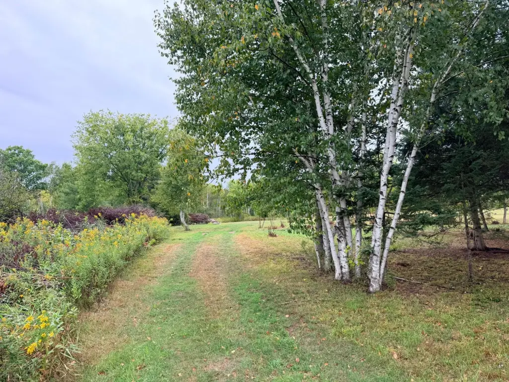 Picture 20