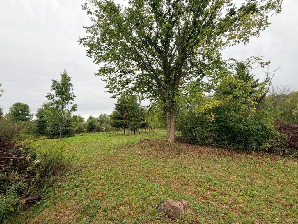 Picture 39