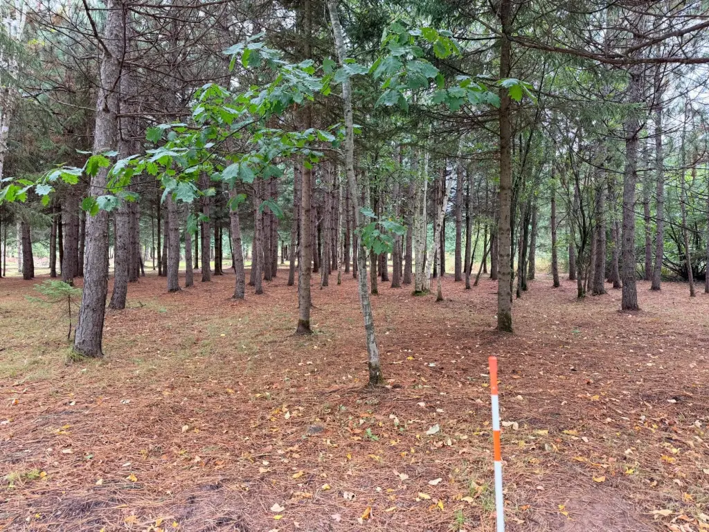 Picture 18