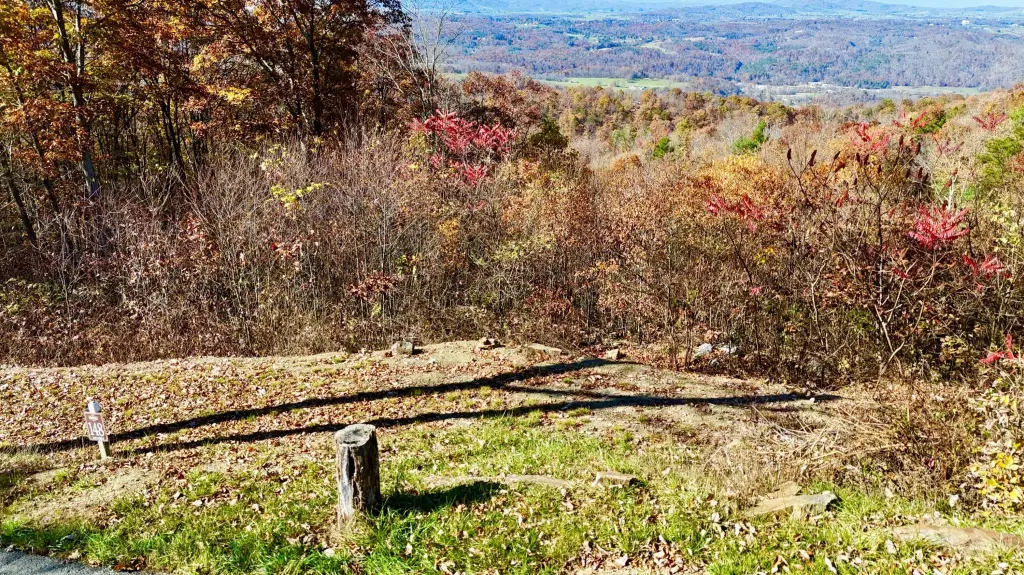 Picture 13