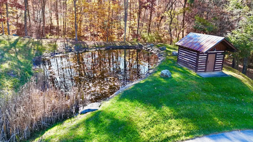 Picture 5