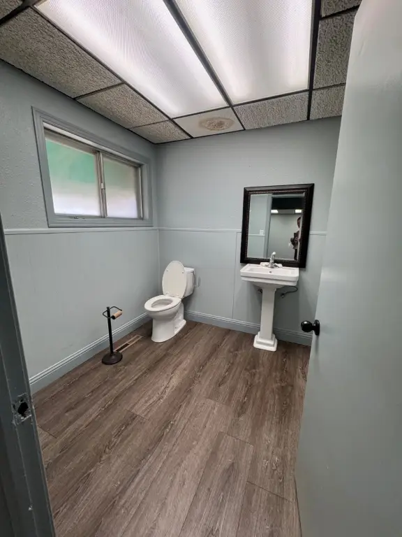 Picture 25