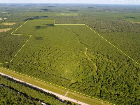 Timbered Land Tract