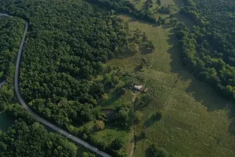 Working Cattle Farm Near Cole Camp