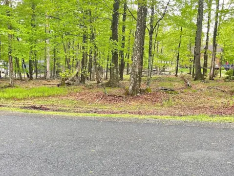 Level Lot Near Lake Wallenpaupack