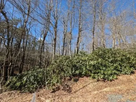 Land Near Emerald Lakes Amenities