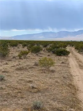 Mojave Land with Open Space