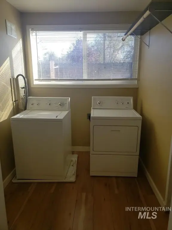 Picture 23