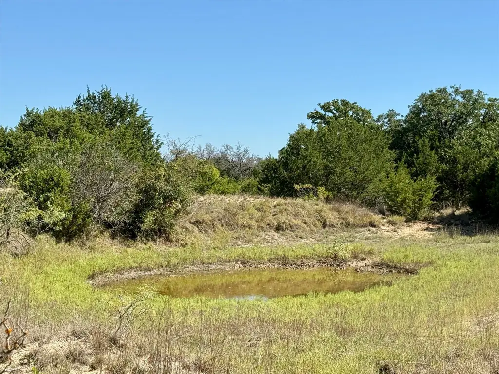Picture 25