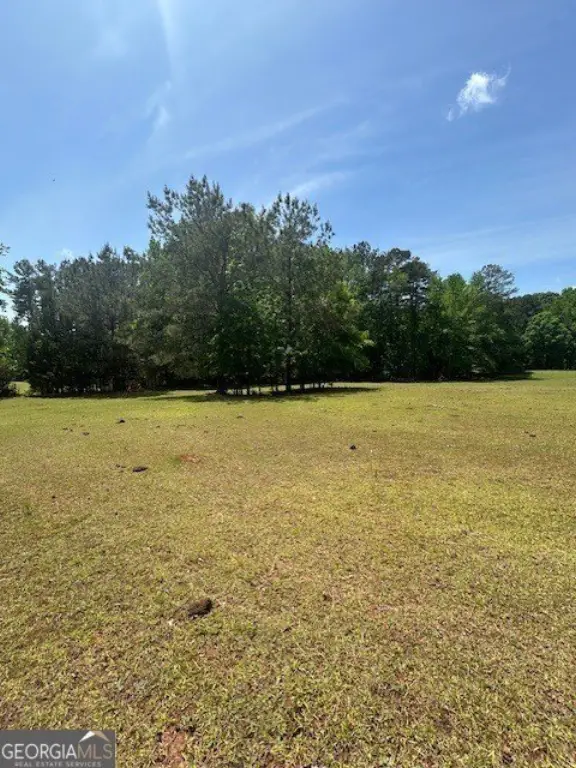 Picture 2