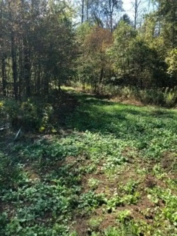 Picture 8